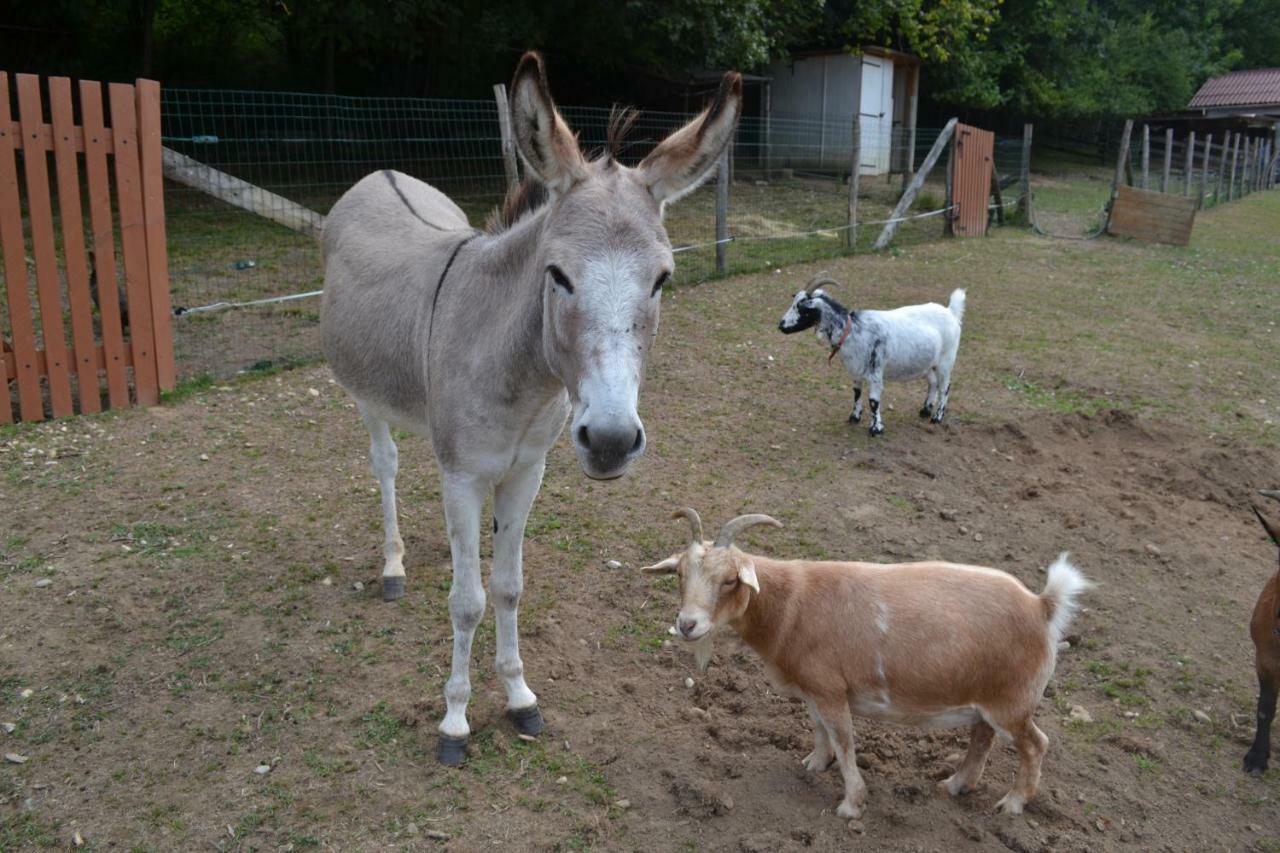 Le Paradis Des Animaux Coublevie المظهر الخارجي الصورة